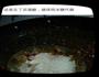 火锅料的做法图解16