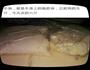 火锅料的做法图解8