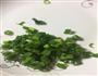牛肉番茄米线的做法图解4