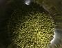 手工发豆芽的做法图解8