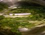 牛肉胡萝卜水饺的做法图解2