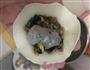 韭菜虾仁水饺的做法图解5