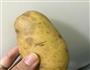 土豆炖豆角的做法图解3