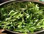 香菜肉丝的做法图解3