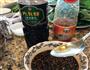 海南鸡饭的做法图解5