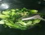 猪油炒青菜的做法图解1