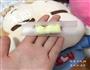 手工牛轧糖的做法图解8