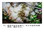 一道触动你灵魂的重油菜饭的做法图解12