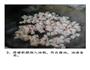 一道触动你灵魂的重油菜饭的做法图解4