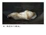 一道触动你灵魂的重油菜饭的做法图解9