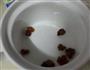 牛奶炖桃胶的做法图解1