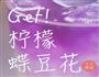 蝶豆花渐变饮料的做法图解5