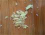 紫菜虾米香菜汤的做法图解4