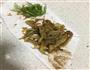 炸蘑菇的做法图解10