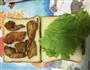 鸡胸肉三明治的做法图解2