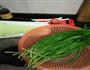 白菜猪肉韭菜饺子的做法图解3