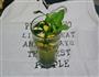 特调mojito的做法图解9