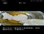 奶油夹心蛋糕的做法图解11