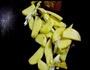 丑不拉叽菜热饭的做法图解5