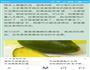 香蕉裹牛油果的做法图解1