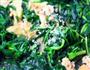 韭菜炒鸡蛋的做法图解10