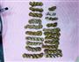 红糖麻花的做法图解6