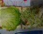 三明治的做法图解7