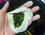 让人又爱又恨的茴香馅儿包子的做法图解10