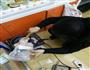 牛轧糖的做法图解4