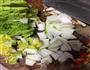 青菜豆腐的做法图解2