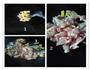 红葱鸡的做法图解3
