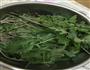 凉拌蒲公英的做法图解1