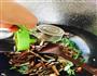 螺丝椒豆干肉丝的做法图解6