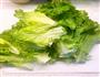 蒜蓉蚝油生菜的做法图解1