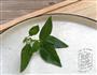 西红柿金不换皂角米的做法图解3