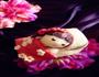 花样面食拇指姑娘的做法图解7