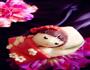 花样面食拇指姑娘的做法图解8