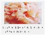 蜂蜜柚子茶的做法图解3