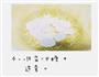 蜂蜜柚子茶的做法图解4