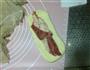 培根沙拉面包的做法图解8