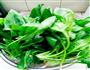 菠菜粉丝的做法图解1