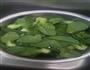 荠菜馄饨的做法图解1