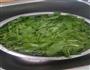 荠菜馄饨的做法图解2
