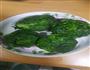 荠菜馄饨的做法图解5
