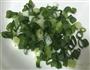 土豆丝饼的做法图解2