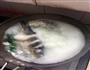 鲫鱼豆腐汤的做法图解7