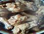 香酥鸡翅根的做法图解3