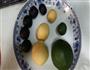 熊猫饼干的做法图解6