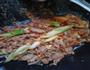 木耳炒肉片的做法图解4