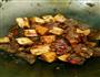 香辣牛肉火锅的做法图解5